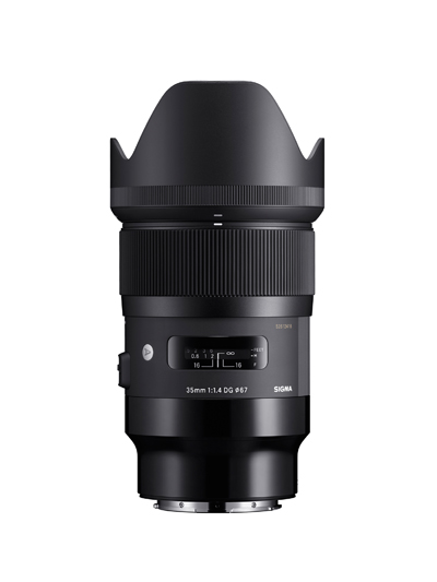 Sigma L-Mount