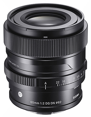 Sigma 65/2 DG DN